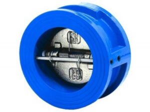 Клапан обратный 19ч21р Ду-100 PN16